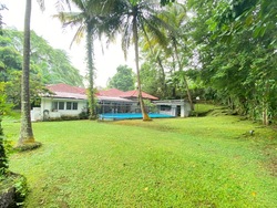 Leedon Road (D10), Detached #491924581